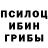 Галлюциногенные грибы мицелий Max Denverz