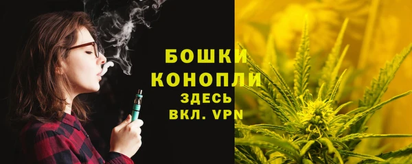 PSILOCYBIN Горно-Алтайск