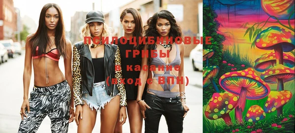 винт Горняк
