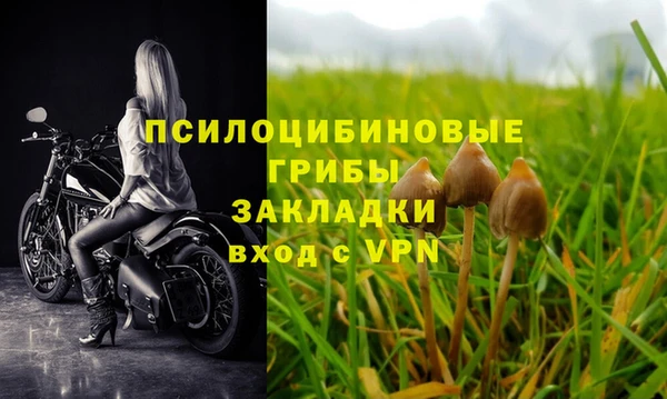 мет Горнозаводск