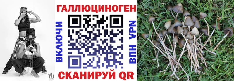 Псилоцибиновые грибы Psilocybine cubensis  Пересвет 