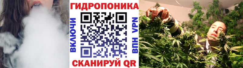 Конопля ГИДРОПОН  Пересвет 